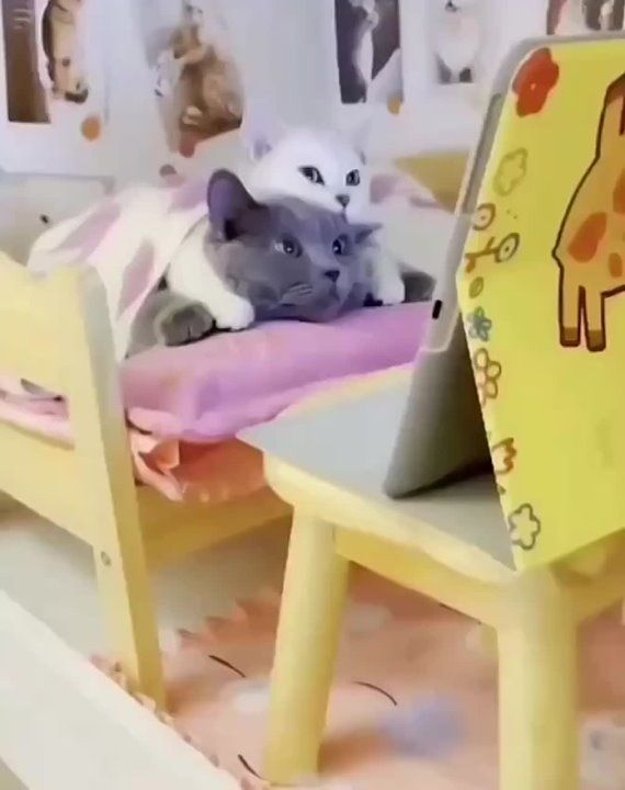 ������, ���� ��������� ������ � �������� ���������� �������� � �����!