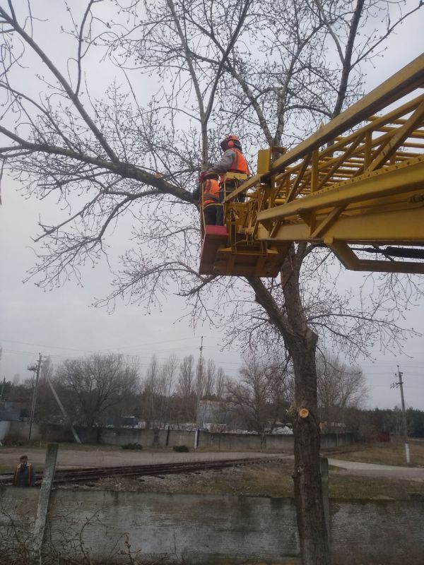 � �.�������� �������������� ���������� ������ �������� ������ �� ���������������