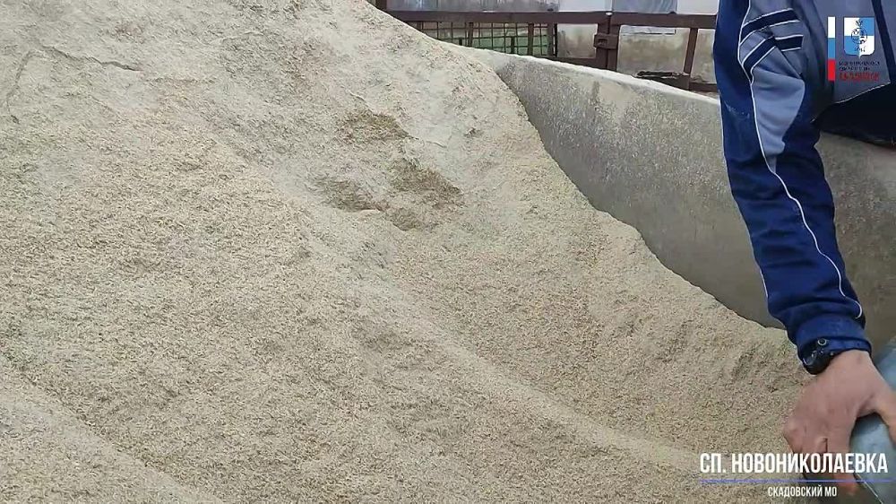 ����� ������ � ������� �������