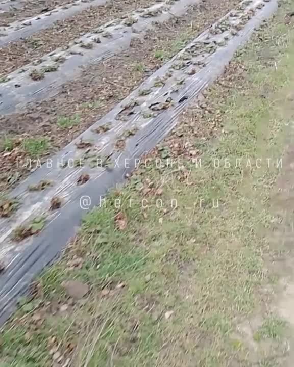 ������� ���������� �������� �������� �� ������ ��������� � ���� �� �������� ��� �������� �� ���� � ��������� �������� �� ����� �������