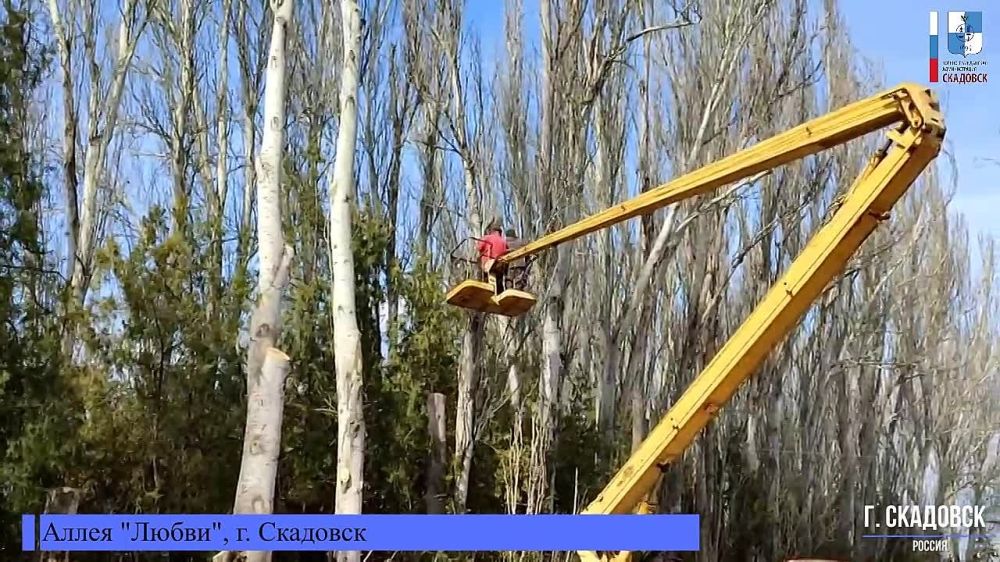 �������� ������� �� ��������