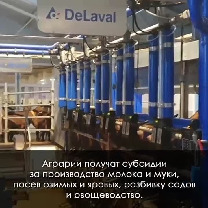 ������ ����������: ��� ���������� ������� ������ ����� �� ������� �������������� ���� � ������� 3�4 ���