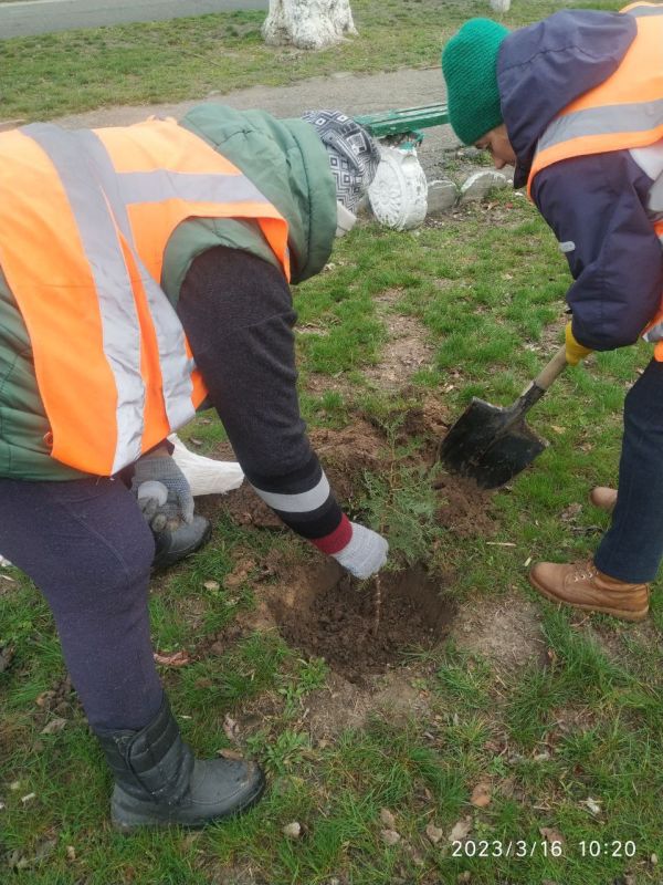 � ������������� ��������� ������ ���������� �������� ������� ��������