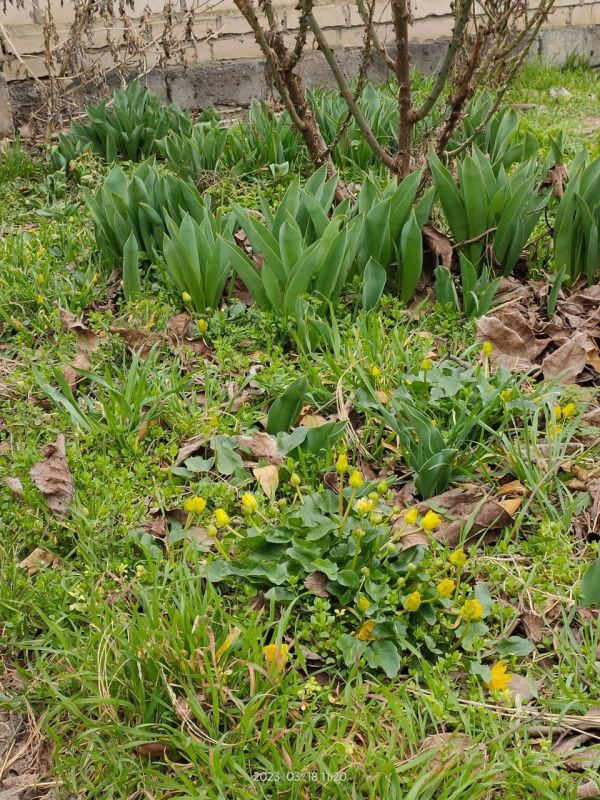 ���������, ����!. �������� ��� ������� � ������ �� ����. ������� ����� ����� ����䳺��. � ��� ���� � ����� �����, ���� ��������� �������