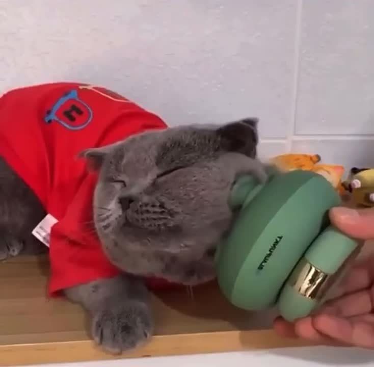 ��������� ����������... ������ ����������