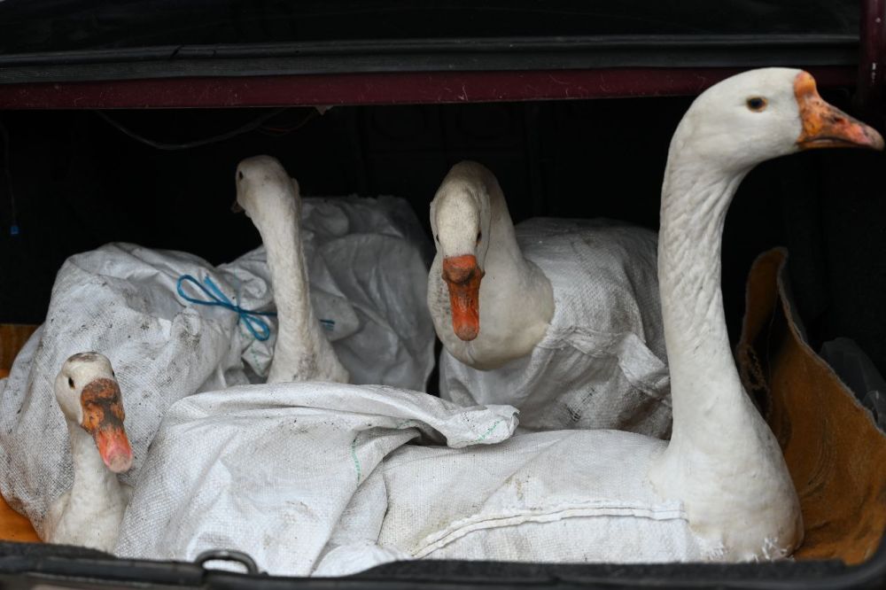 18 ����� �� ��������� ����� � ��������� ���� ������������ �������������������� �������� �������