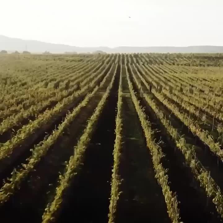 ����������� � ���� ������������� ����� � ������-����� ����������� � �������!