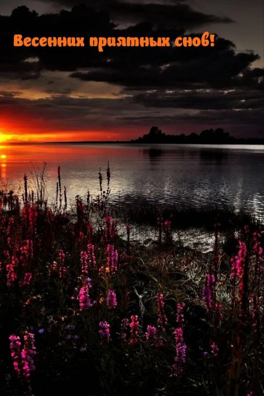 ������ ����. � ���� � �� ������ ������ ���� � ������� ����� ������ �� ��������. ��� �������.����������� �� +4 ����� �� +9 ����