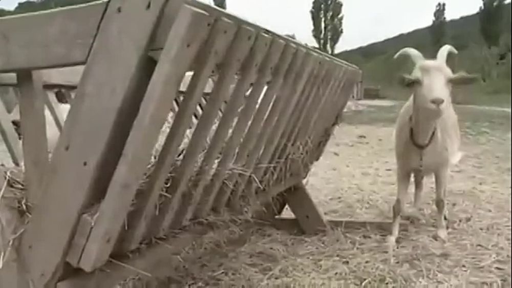 "������� � ����� ���������� ��������� �����"