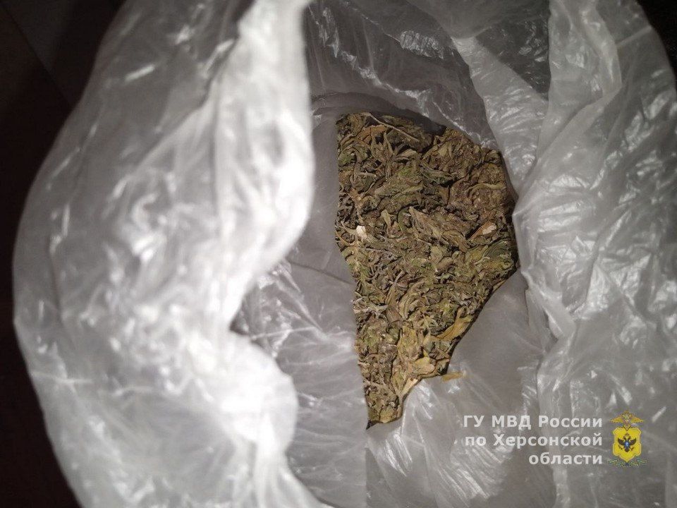 ����������� ������ ������������� �������� � ������� ��������� � ��������