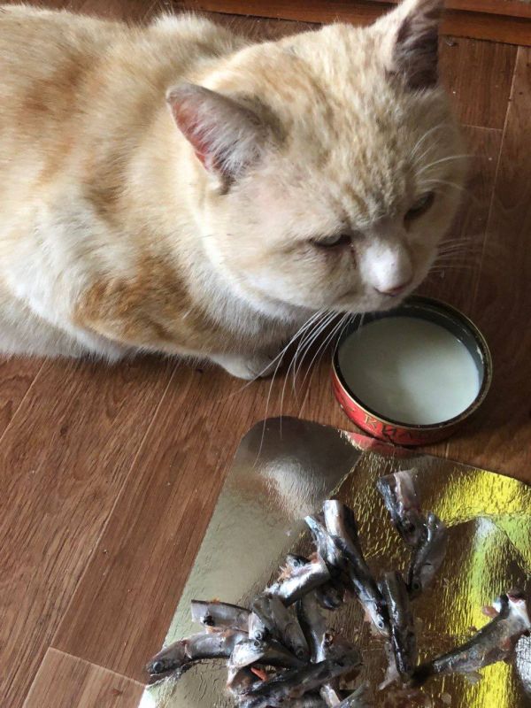 ������� ����������: ��� ����� ������ ����������