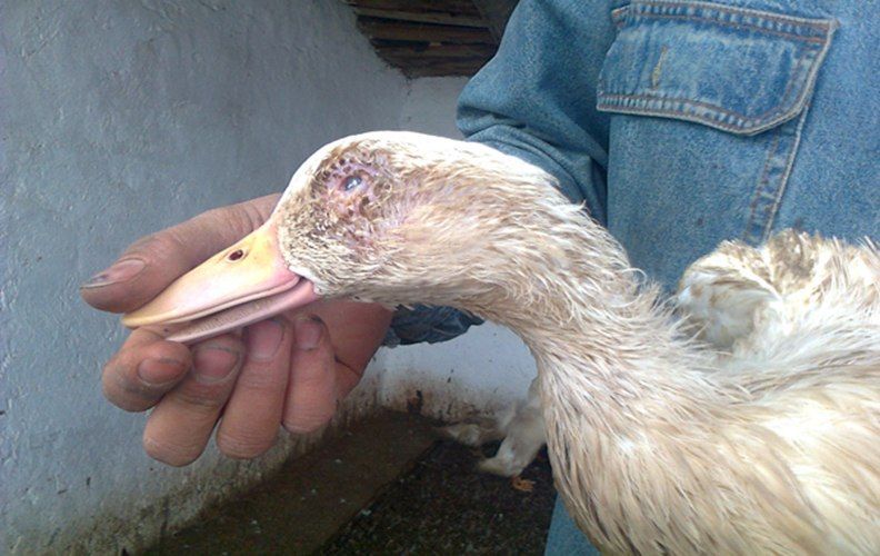 �� ����� ���������� �� ����� ������� ������� ��� ����� ��������, ��� ����� ������ ����� �� ���������� ������� ������� ������������� ���������� ������� ��������� ������� �������� ������