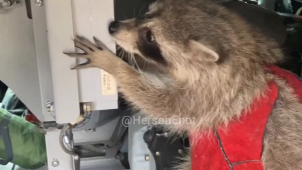 ���� �� �������: ��������� �������! ������� �� ���������� ��������� ���!