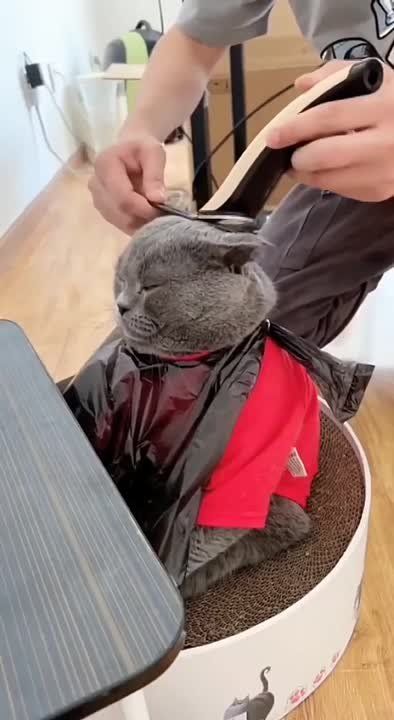 ��� ������, ��� ������ �� ������?