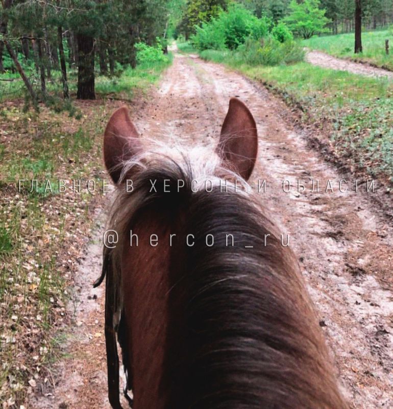 � ����� ������� ����� ��������� ������ ������ � ��� ����� ����������� ������� � ���������������