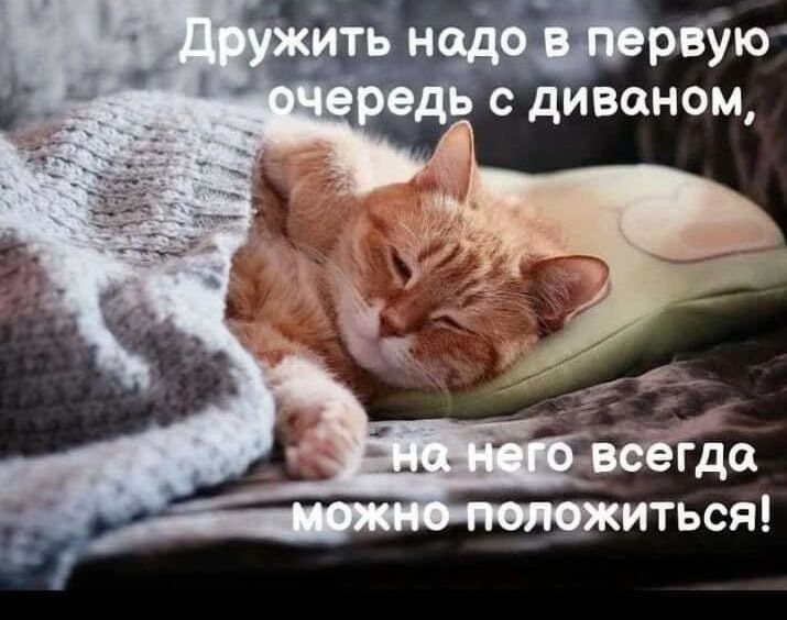 ���� ������� ������ � ��������� �������! �� ������