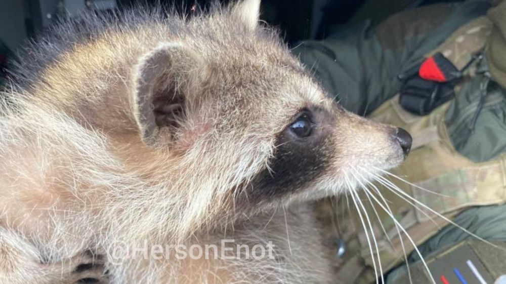 ���� �� �������: ������� ���� � � ������� ����� ������������� ������!