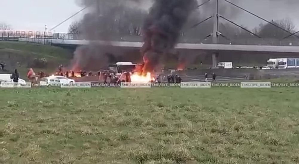 ����� ���� �������� �������