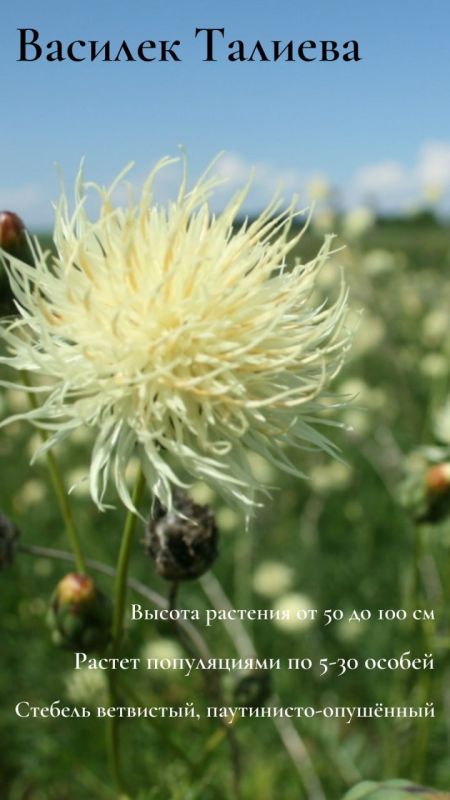 ������������ ��������� �������� � ��������