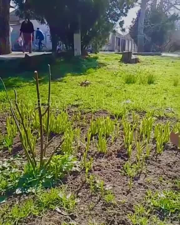 � �������� ������ �����!