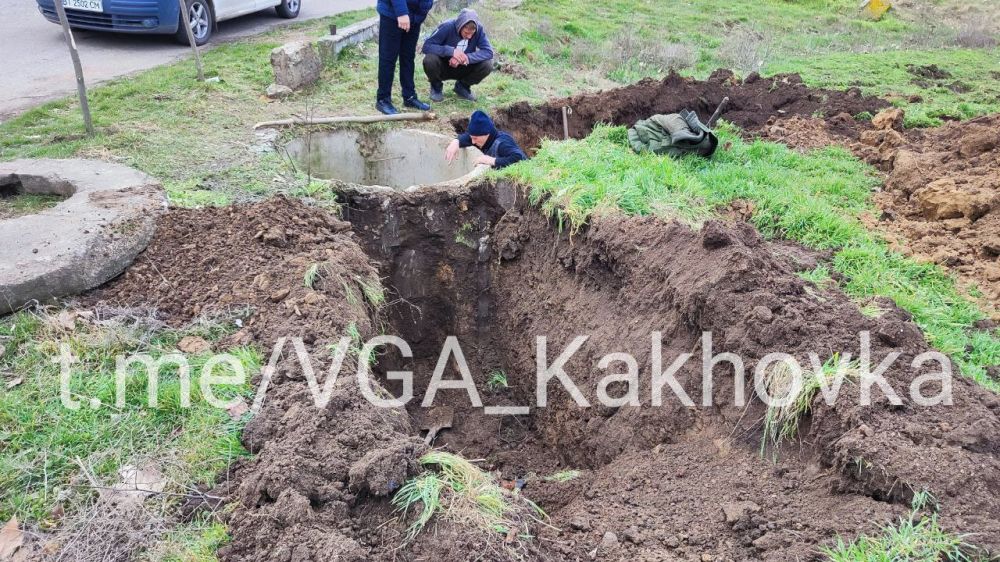 �������������� ������������ ����������� �����������: