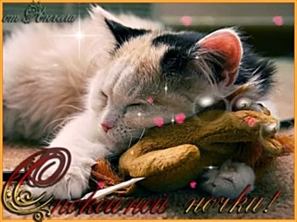 ������ ����!. � ������� �� ���������� ����� ��� ����� ������ �������� ������