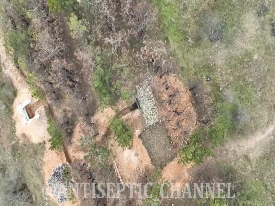 ���� �������� ����������, ���������� � ���� ���, ������� ���������-����� �ANTISEPTIC�