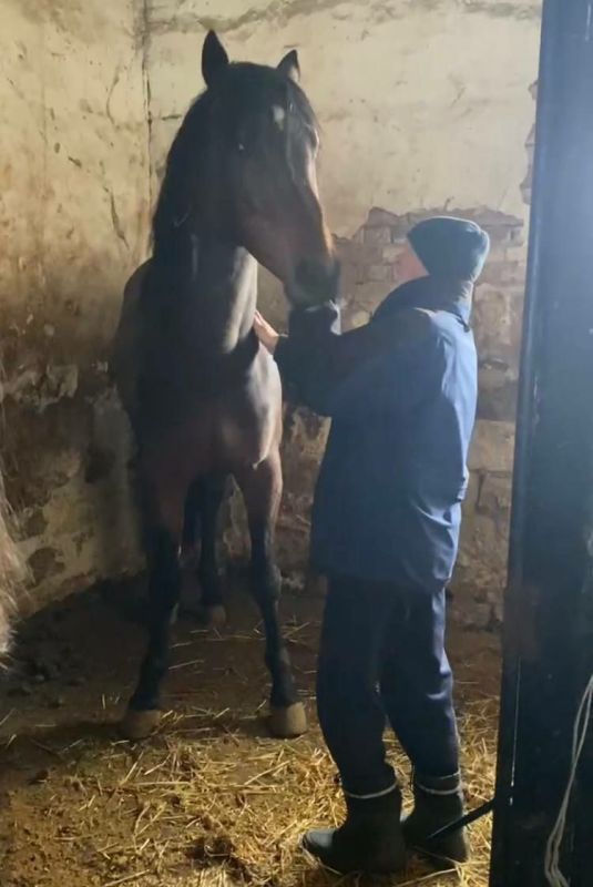 ������������ ������� ����� ��������� ������ ������ � ���������� �������