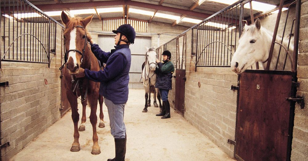 � ��������������� ����������� �������