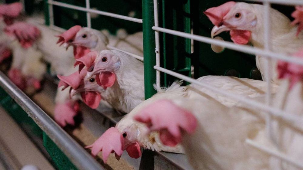 �� ���������� ������� ������� ������������� ���������� ������� ��������� ������� �������� ������