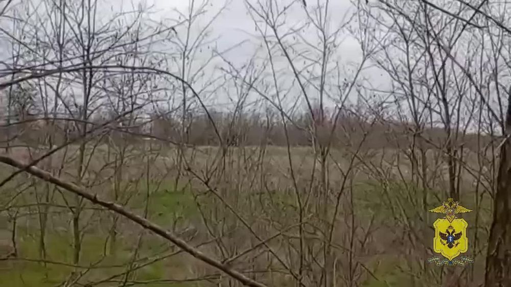 ����������� � ���� ���������� ������� ������� ��������� ���� �����