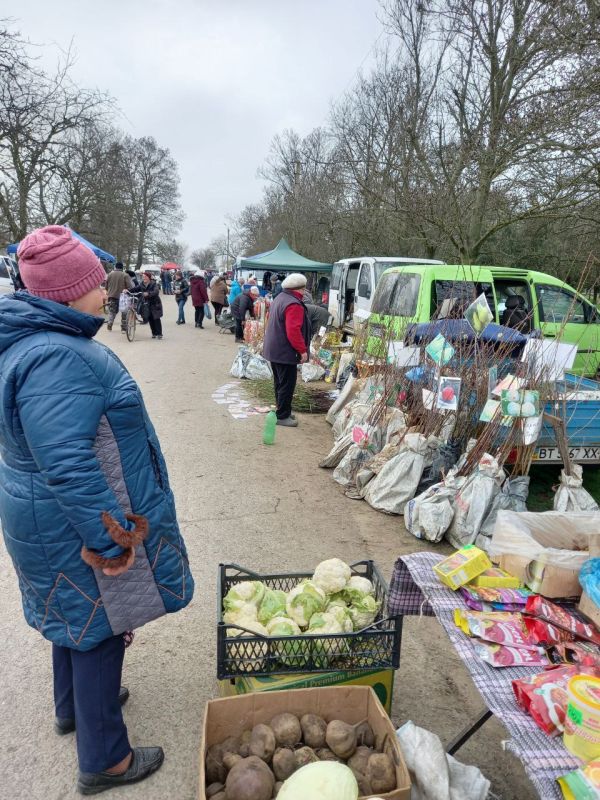 � ���� �������� ������������� �������������� ������ ���������� �������