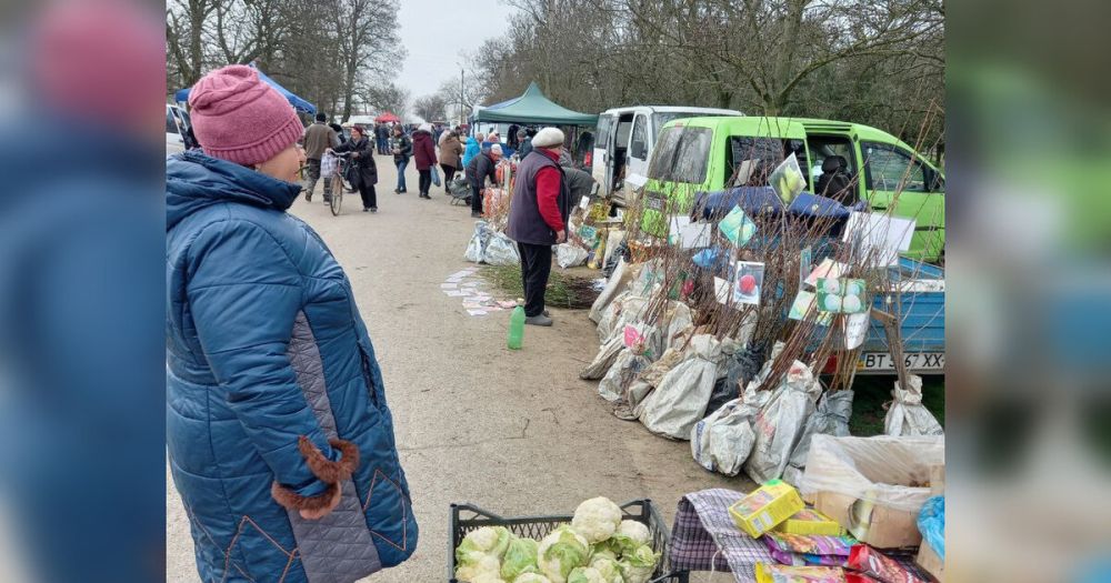 � ���������� ������� ������ �������