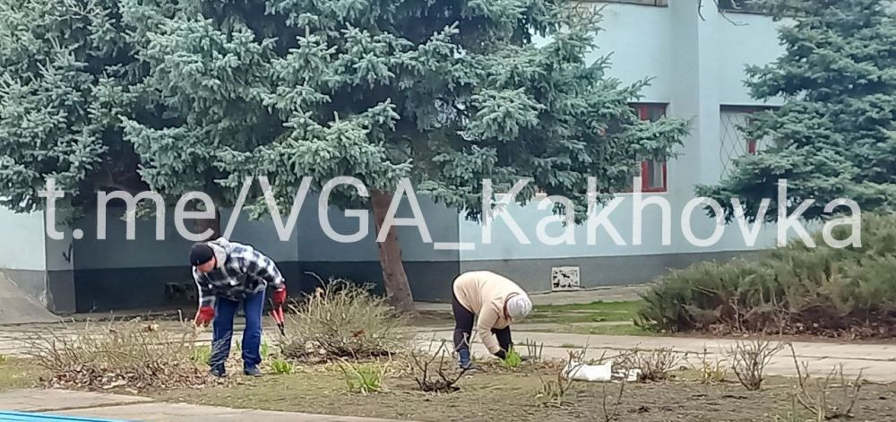 ������������� ������������ ����������� �����������: