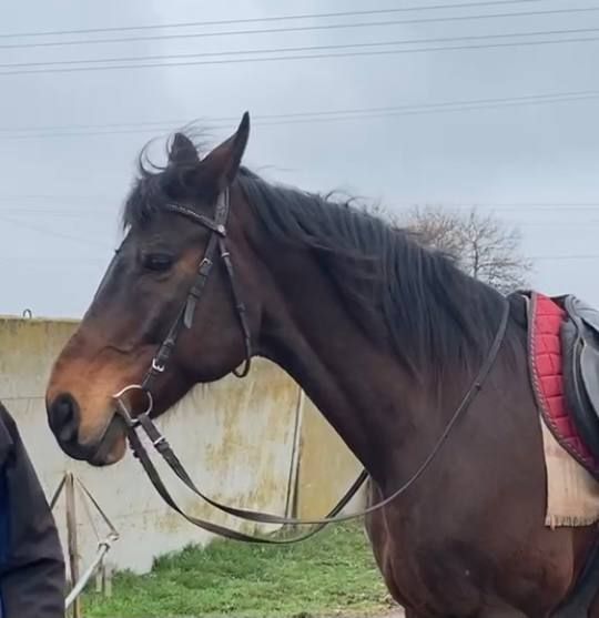 � ���������� ������� ����� ��������� ������ ������