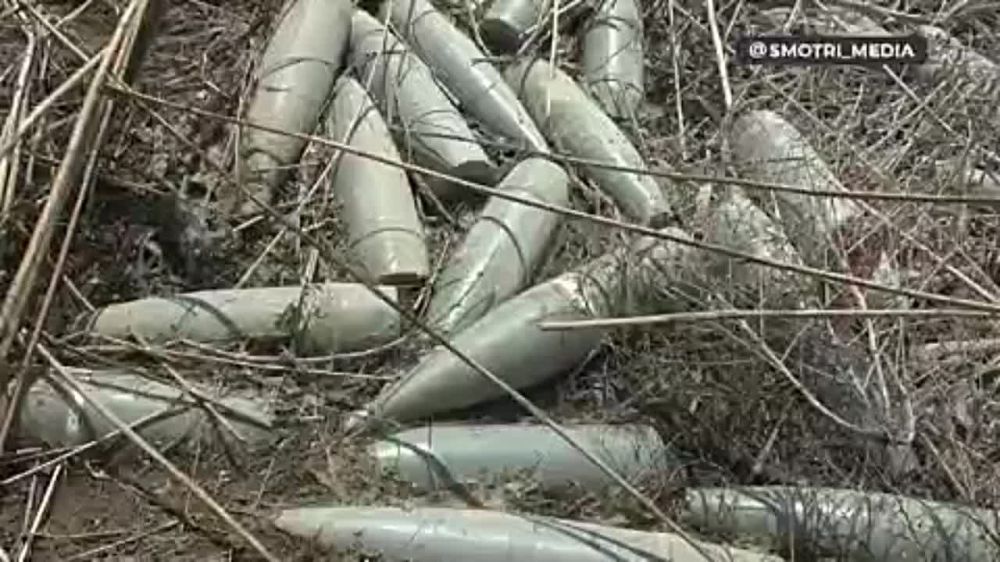 ������� 200 ����������� ����������� ���������� �������������� � ���������� �������