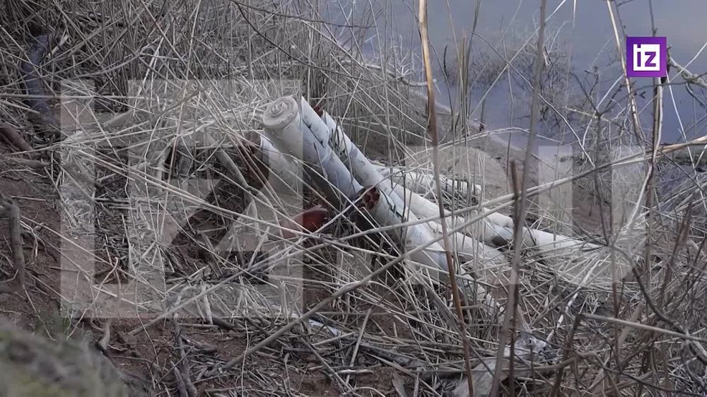 ����� � ��������� "������" � "������" ��������� ����� ������ � ������� ������� ���������� �������