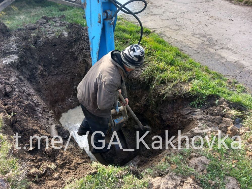 ����������������� ������������ ����������� �����������: