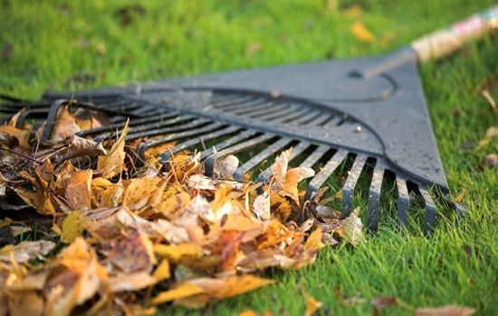 ��������� ������ ��������� � �������������� ���������������, ������� ������������ ���� ������������������� ������������ � �.�.��������!