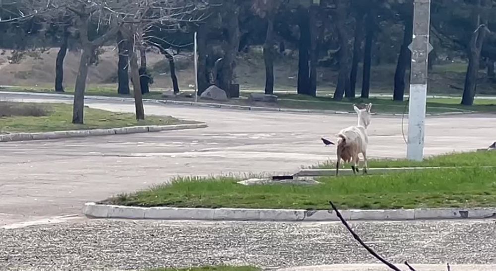 ����� ��������: ����� 15 :00 ����� � ����� ������� ��������