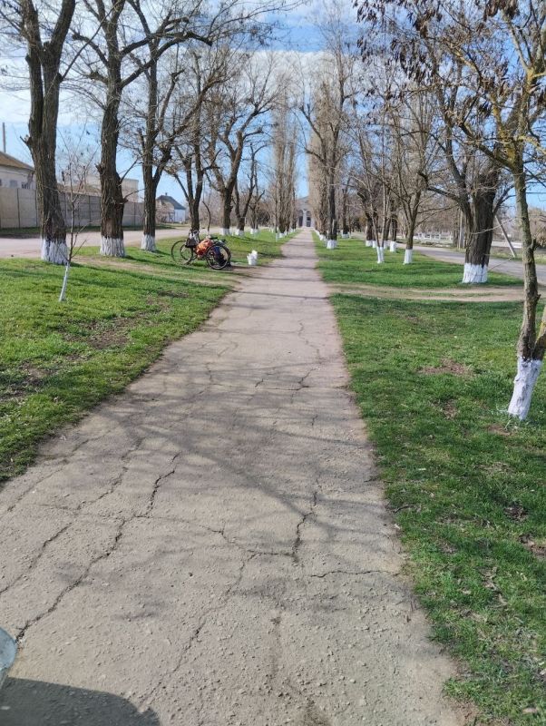 � ���������� ������� ����������� �������������� ������ ���������� ��������������� ����������