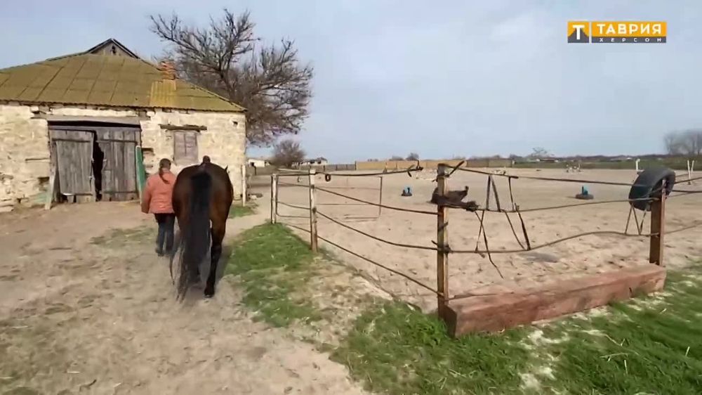 #���������. ���������� ������ ������ - ���������� ��� "������" �� ������ ����� � ��������������