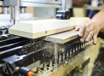 ������ LIVE. ������ ����������