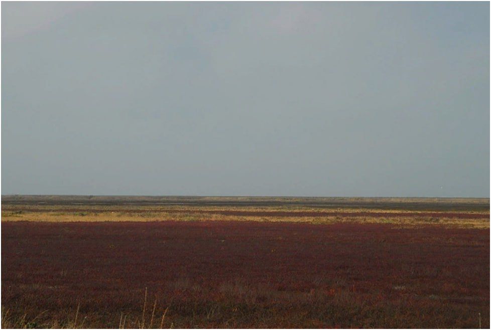 ��� ������ ����� �������-������������� ����� �������, �� � � ��� ��� �������