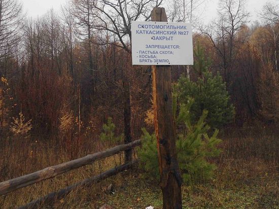 ����� �����������, ��� ��������� ���� ��� ��������� ����: ������� ����������