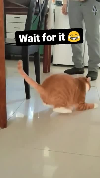 ���, ����� ������������� �� �������