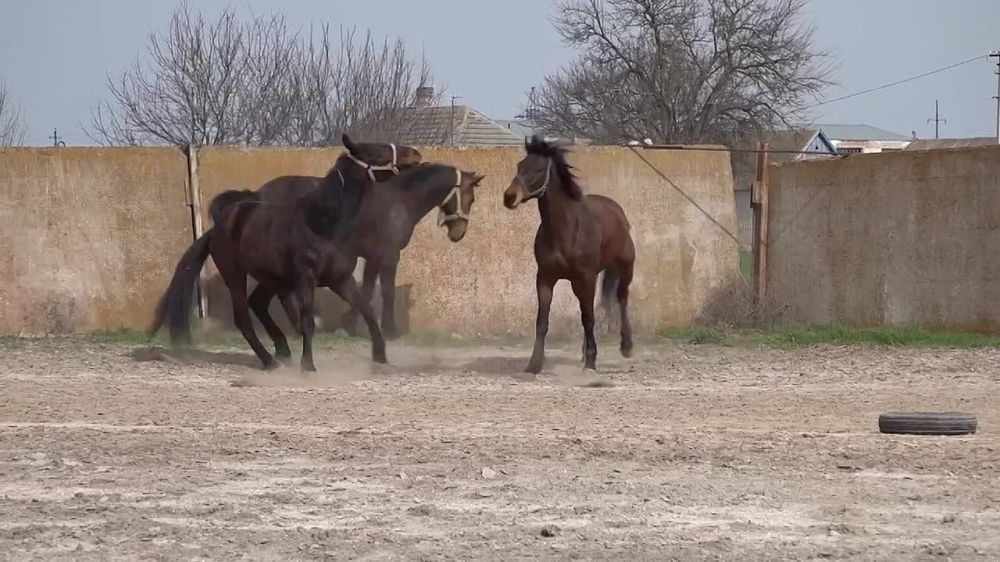 ������������� ���������� ������� ��������� � ������������� ������� ���������� ��������� ������ ������� ����������� � ���������������