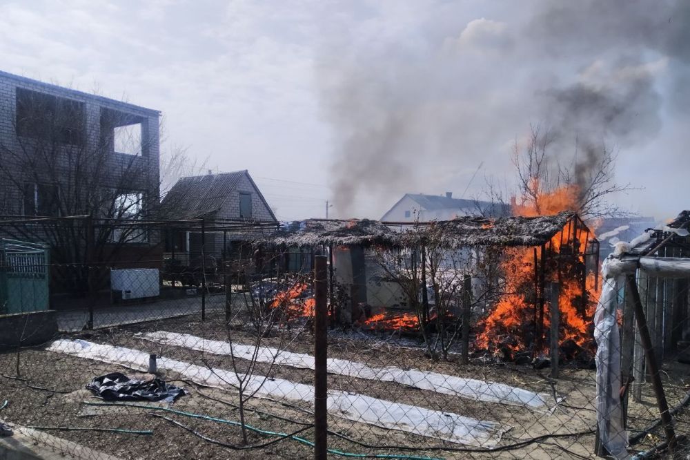 � �. �������� �������������� ���������� ������ ���������� ������������� ���������