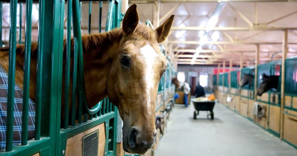 � ��������������� ��������� ��������� ������ �����