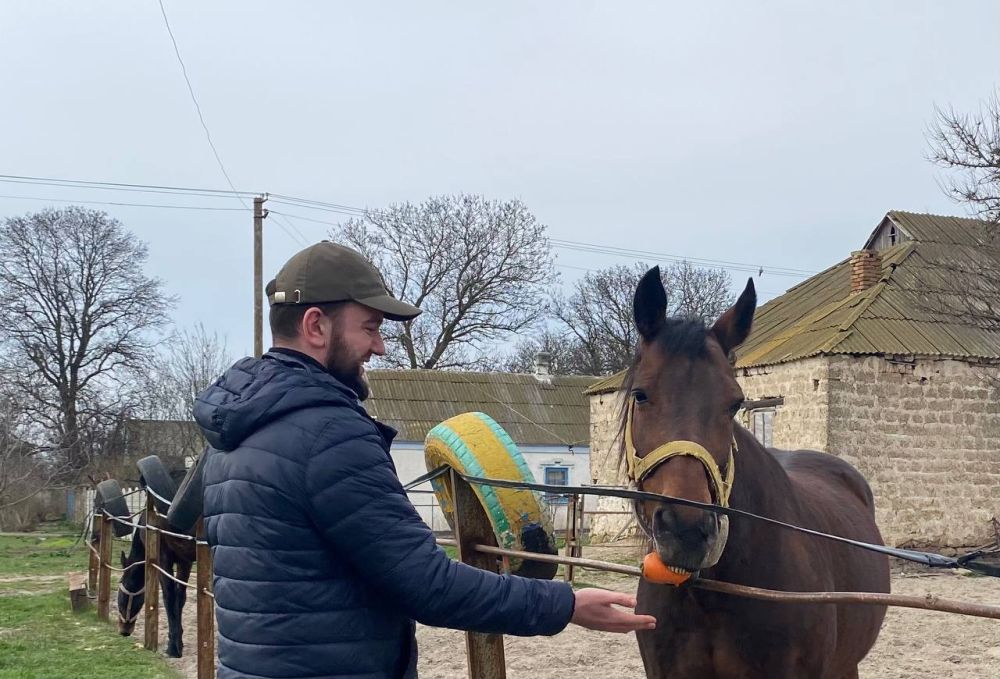 ��������, 23 �����. /����/